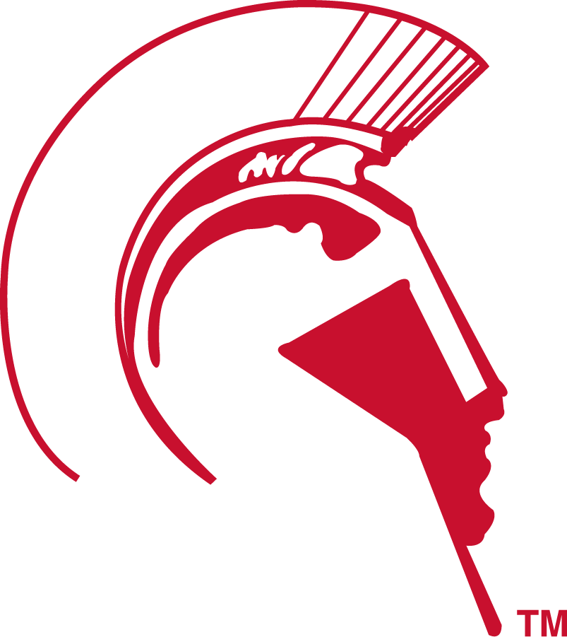 Detroit Mercy Titans 1993-2008 Secondary Logo diy iron on heat transfer